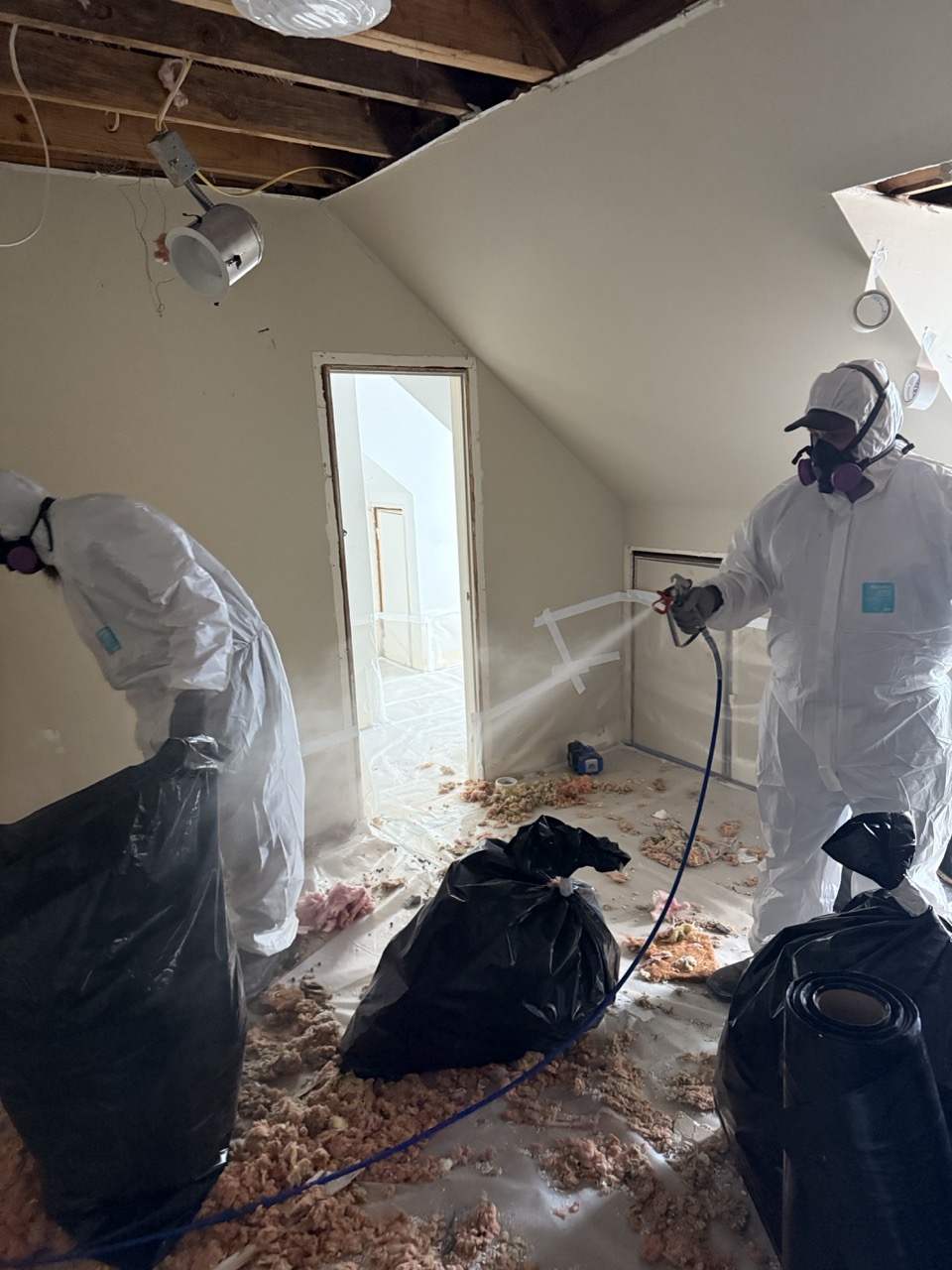 Professional remediation team in protective equipment